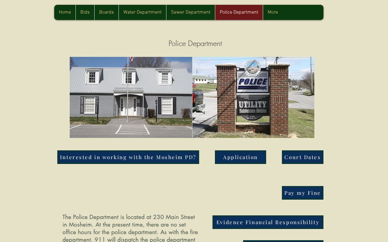 Mosheim court docket links on the Police Department page