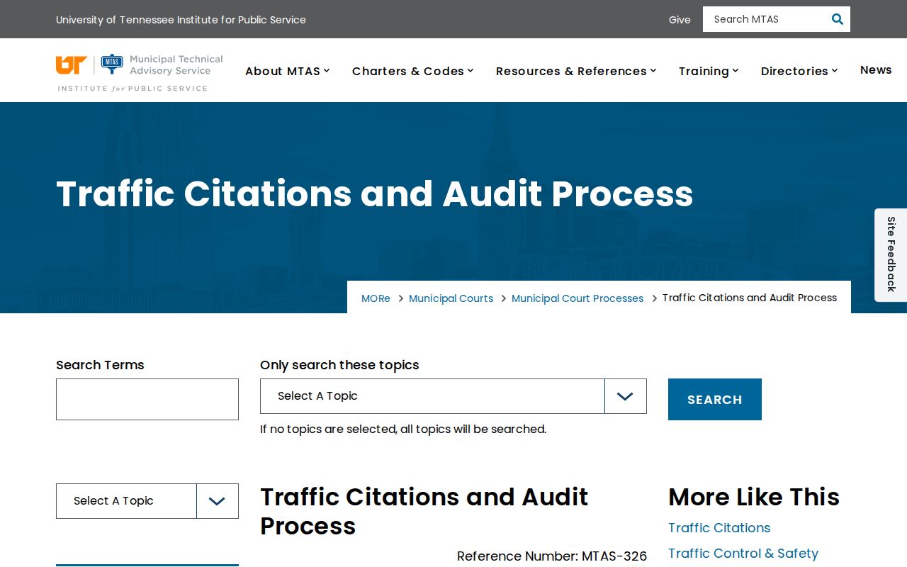 Greeneville court docket traffic citation audit process