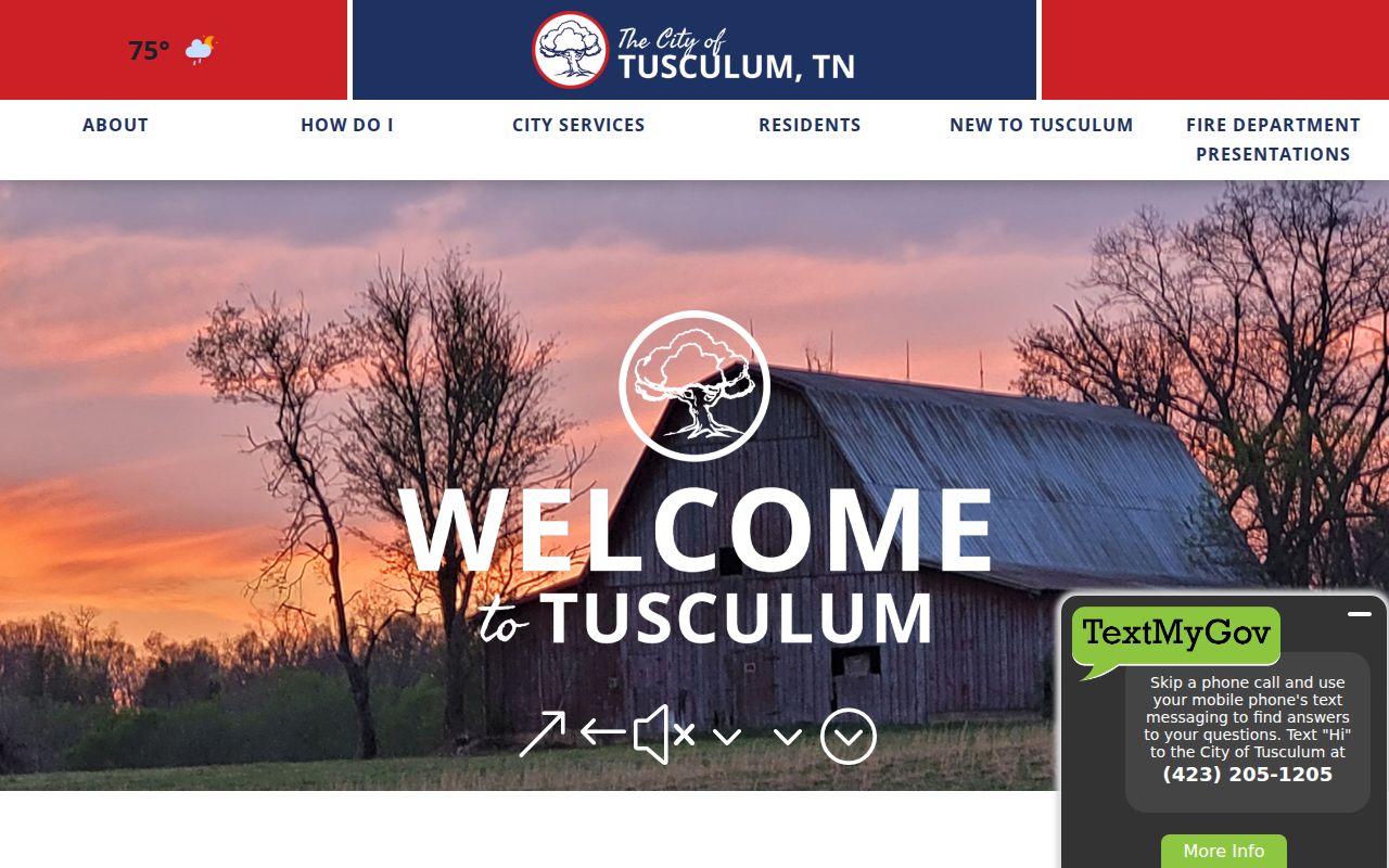 Greene County civil docket and Tusculum municipal court distinction