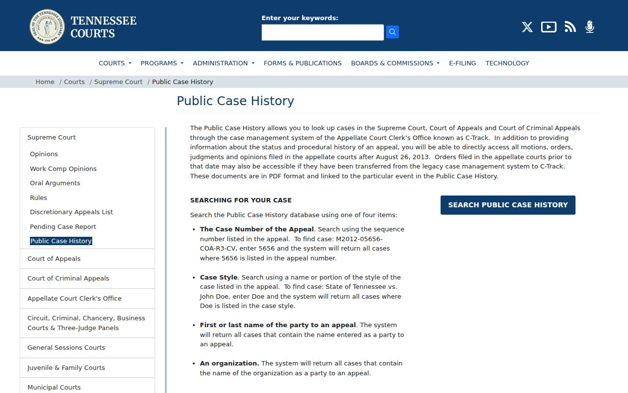Greene County court docket appellate Public Case History overview